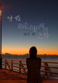 呼吸游走在护城河之外封面