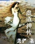 虚道神传封面