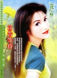 宣告等待封面