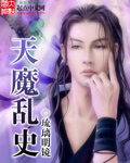 天魔乱史封面