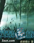 黄泉逆旅封面