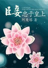 臣妾忠于皇上封面