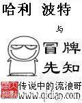 哈利波特与冒牌先知封面