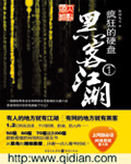 疯狂的硬盘封面