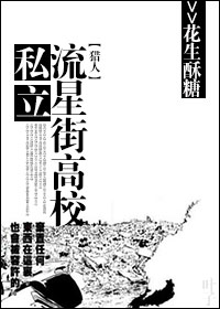 (猎人同人)[猎人]私立流星街高校封面