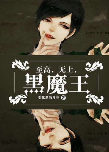 至高,无上,黑魔王！封面