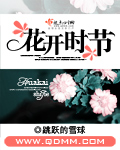 花开时节封面