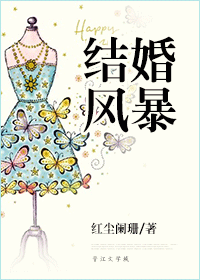 结婚风暴 结婚风暴
