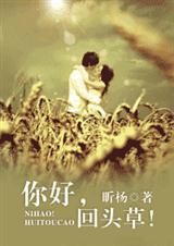 你好,回头草! 你好,回头草!